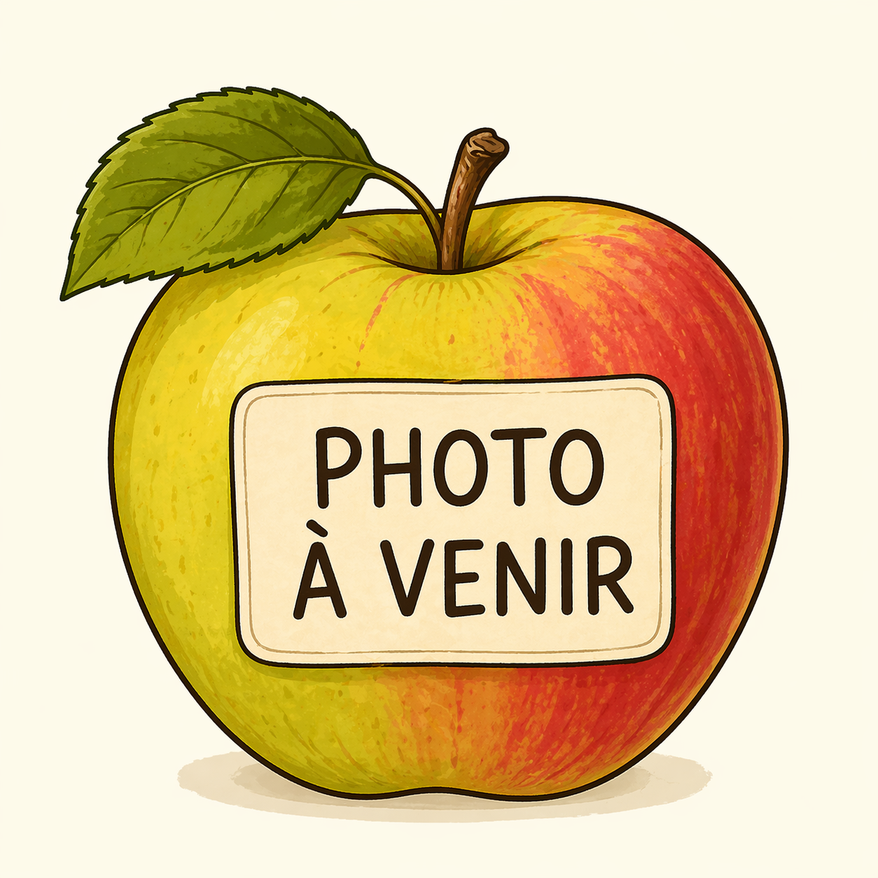 Pommier Denise (Saint Germain les Belles)