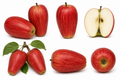 Pommier Museau de lièvre Rouge